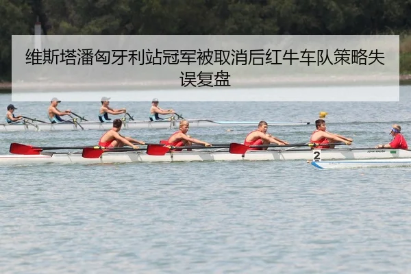 wei-si-ta-pan-xiong-ya-li-zhan-guan-jun-bei-qu-xiao-hou-hong-niu-che-dui-ce-lve-shi-wu-fu-pan-2-445.jpg